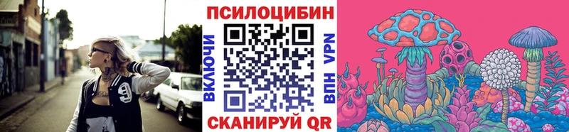 Купить  Терек  Галлюциногенные грибы Psilocybine cubensis 
